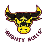 mighty bulls